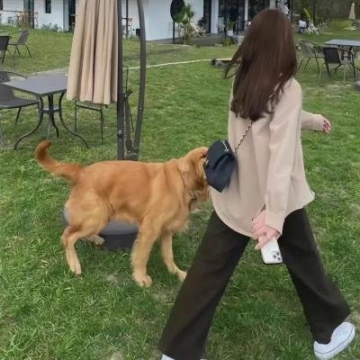 凯瑟琳夫人在哪